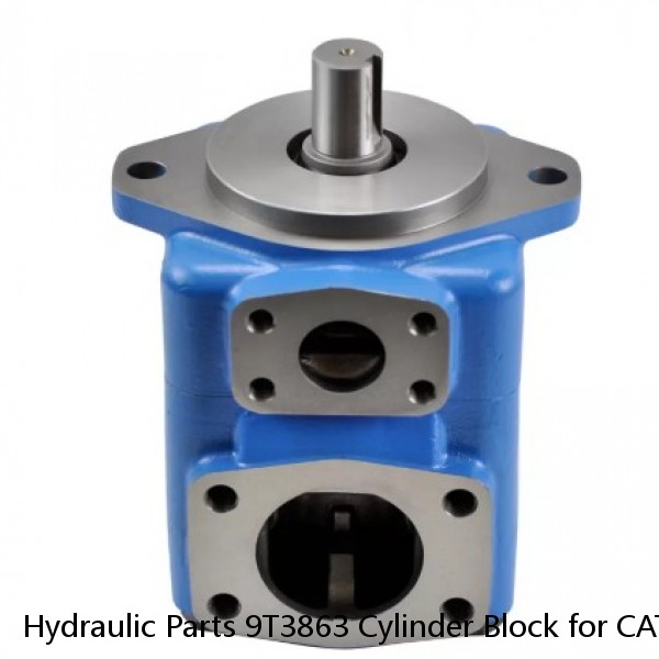 Hydraulic Parts 9T3863 Cylinder Block for CAT BACKKHOE LOADER PUMP