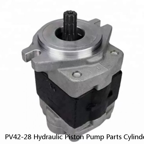 PV42-28 Hydraulic Piston Pump Parts Cylinder Block with Sauer